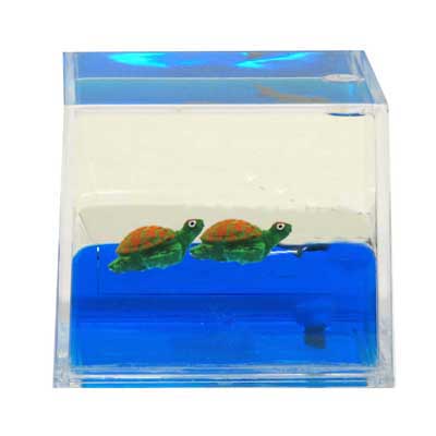 Paperweight Cube Turtle